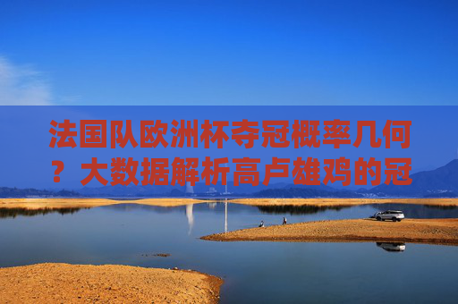 法国队欧洲杯夺冠概率几何？大数据解析高卢雄鸡的冠军之路，法国队欧洲杯夺冠概率，大数据解析高卢雄鸡的冠军之路