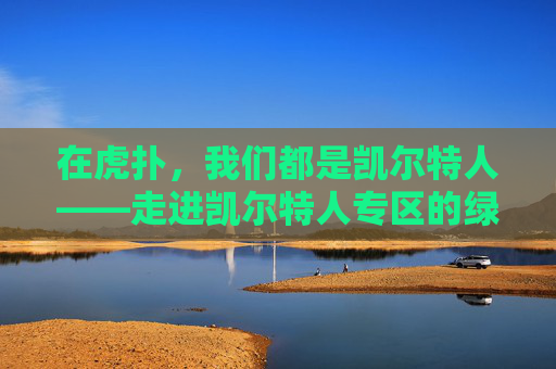 在虎扑，我们都是凯尔特人——走进凯尔特人专区的绿军魂与烟火气，虎扑凯尔特人，绿军魂燃起，烟火气里都是自己