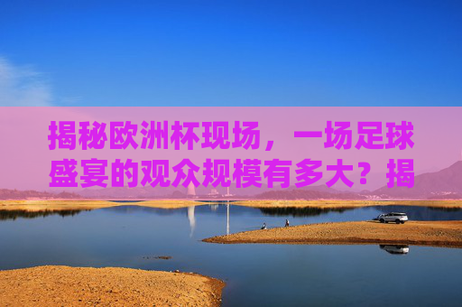 揭秘欧洲杯现场,一场足球盛宴的观众规模有多大?揭秘欧洲杯现场,足球盛宴的观众规模有多大?