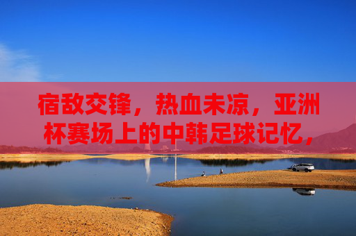 宿敌交锋,热血未凉,亚洲杯赛场上的中韩足球记忆,宿敌交锋热血未凉,亚洲杯中韩足球记忆