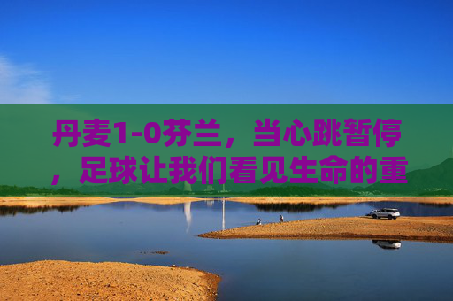丹麦1-0芬兰,当心跳暂停,足球让我们看见生命的重量