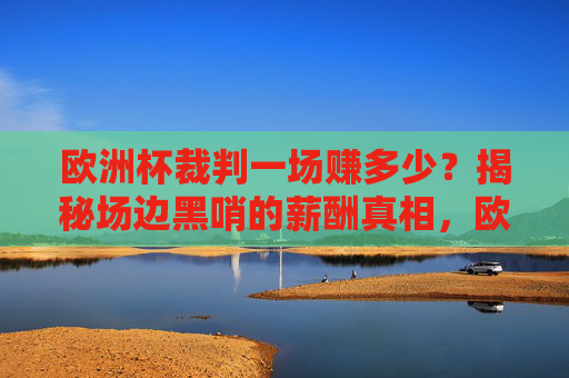 欧洲杯裁判一场赚多少?揭秘场边黑哨的薪酬真相,欧洲杯裁判薪酬揭秘,黑哨一场究竟赚多少?