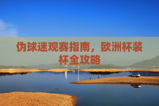 伪球迷观赛指南,欧洲杯装杯全攻略