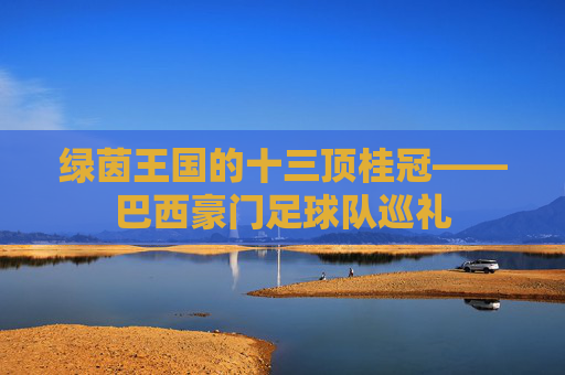 绿茵王国的十三顶桂冠——巴西豪门足球队巡礼