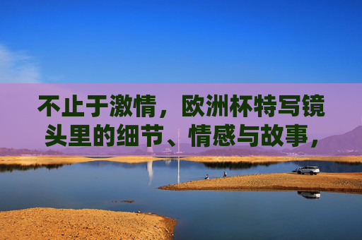 不止于激情,欧洲杯特写镜头里的细节、情感与故事,欧洲杯特写,镜头下的细节、情感与赛场故事