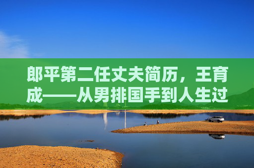 郎平第二任丈夫简历,王育成——从男排国手到人生过客的低调轨迹,郎平第二任丈夫王育成,从男排国手到人生过客的低调轨迹