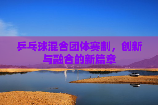 乒乓球混合团体赛制,创新与融合的新篇章