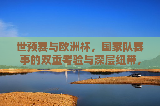 世预赛与欧洲杯,国家队赛事的双重考验与深层纽带,世预赛与欧洲杯,国家队双重考验与深层纽带