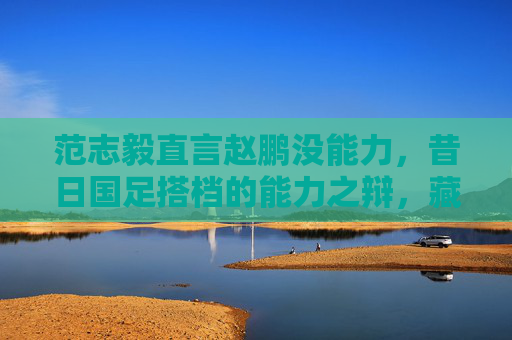 范志毅直言赵鹏没能力,昔日国足搭档的能力之辩,藏着足球评价的哪些真相?昔日国足搭档能力之辩,范志毅直言赵鹏,足球评价的真相