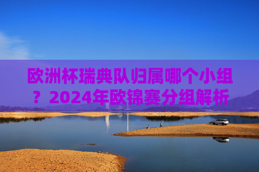 欧洲杯瑞典队归属哪个小组?2024年欧锦赛分组解析,2024年欧锦赛瑞典队小组归属解析