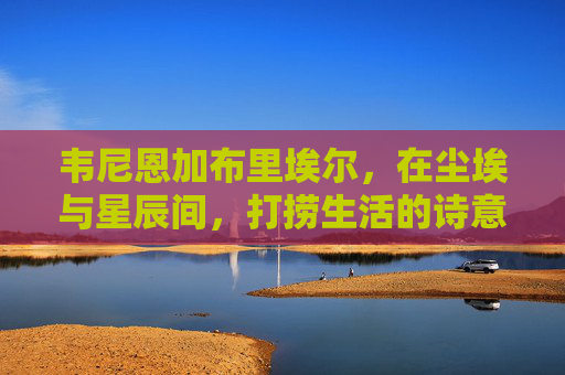韦尼恩加布里埃尔,在尘埃与星辰间,打捞生活的诗意,韦尼恩加布里埃尔,在尘埃与星辰间打捞生活的诗意