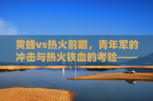 黄蜂vs热火前瞻,青年军的冲击与热火铁血的考验——谁能拿下东部关键卡位战?东部卡位战,黄蜂青年军冲击VS热火铁血考验