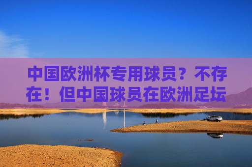 中国欧洲杯专用球员?不存在!但中国球员在欧洲足坛的身影值得关注,中国球员欧洲足坛身影,值得关注的足迹