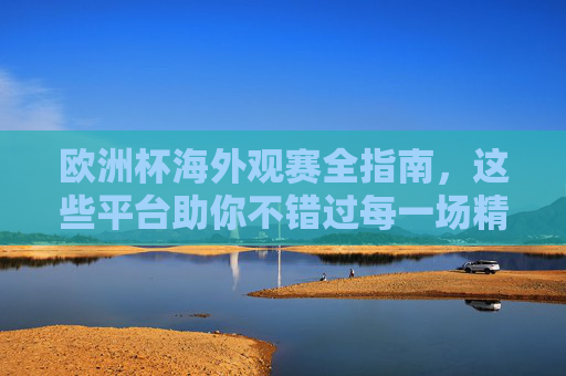 欧洲杯海外观赛全指南,这些平台助你不错过每一场精彩,欧洲杯海外观赛平台全指南