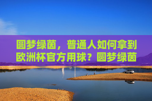 圆梦绿茵,普通人如何拿到欧洲杯官方用球?圆梦绿茵,普通人如何拿到欧洲杯官方用球?