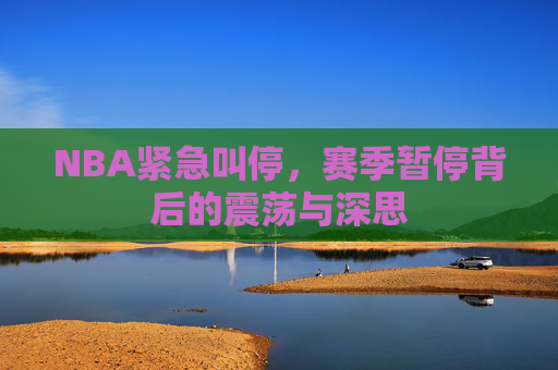 NBA紧急叫停,赛季暂停背后的震荡与深思