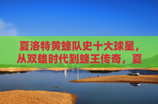夏洛特黄蜂队史十大球星,从双雄时代到蜂王传奇,夏洛特黄蜂队史十大球星,从双雄时代到蜂王传奇