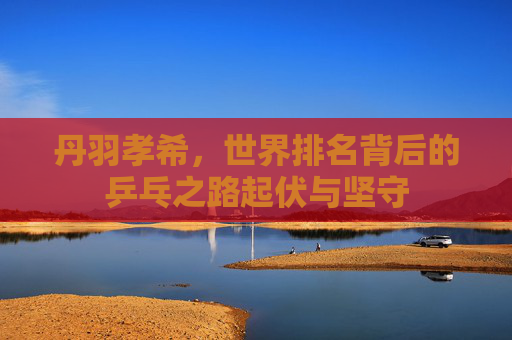 丹羽孝希,世界排名背后的乒乓之路起伏与坚守