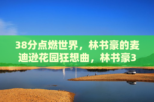 38分点燃世界,林书豪的麦迪逊花园狂想曲,林书豪38分点燃麦迪逊花园狂想曲