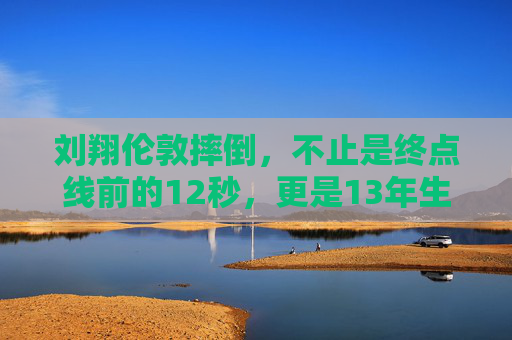 刘翔伦敦摔倒,不止是终点线前的12秒,更是13年生涯的绝响与真相,刘翔伦敦摔倒,12秒终点线前的13年生涯绝响与真相