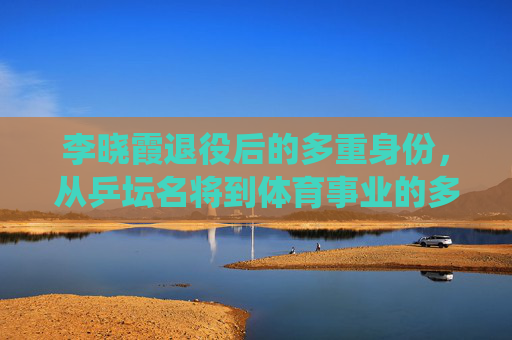 李晓霞退役后的多重身份,从乒坛名将到体育事业的多元深耕,李晓霞退役后的多重身份,从乒坛名将到体育事业多元深耕