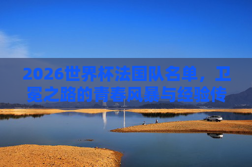 2026世界杯法国队名单,卫冕之路的青春风暴与经验传承,2026世界杯法国队,卫冕之路的青春风暴与经验传承