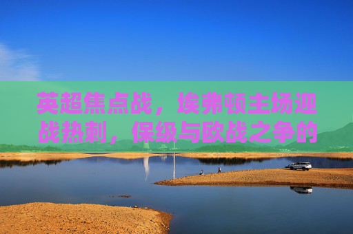 英超焦点战,埃弗顿主场迎战热刺,保级与欧战之争的火花,英超焦点战,埃弗顿主场迎战热刺,保级与欧战之争
