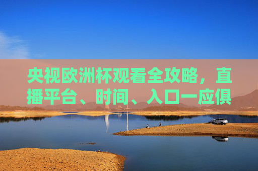 央视欧洲杯观看全攻略，直播平台、时间、入口一应俱全，央视欧洲杯观看全攻略，直播平台、时间、入口一应俱全