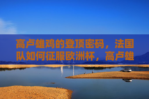 高卢雄鸡的登顶密码,法国队如何征服欧洲杯,高卢雄鸡的登顶密码,征服欧洲杯