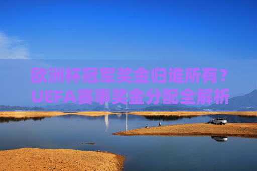 欧洲杯冠军奖金归谁所有? UEFA赛事奖金分配全解析,欧洲杯冠军奖金归属与UEFA赛事分配全解析