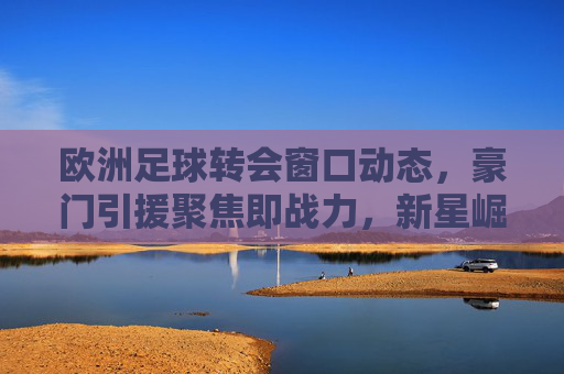 欧洲足球转会窗口动态,豪门引援聚焦即战力,新星崛起重塑格局