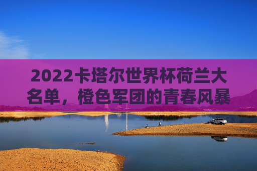 2022卡塔尔世界杯荷兰大名单,橙色军团的青春风暴与战术坚守,2022卡塔尔世界杯荷兰大名单,橙色军团青春风暴与战术坚守