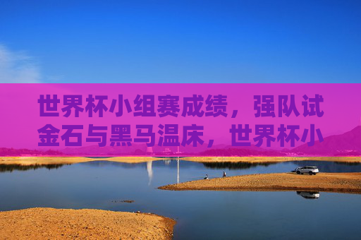 世界杯小组赛成绩，强队试金石与黑马温床，世界杯小组赛，强队试金石与黑马温床