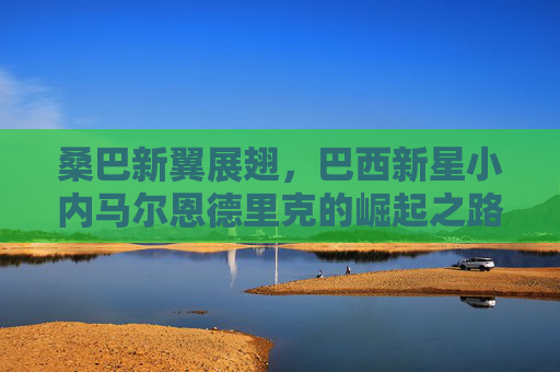 桑巴新翼展翅,巴西新星小内马尔恩德里克的崛起之路