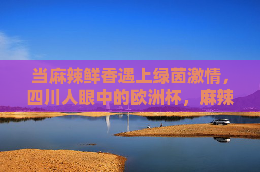 当麻辣鲜香遇上绿茵激情,四川人眼中的欧洲杯,麻辣观球,四川人眼中的欧洲杯