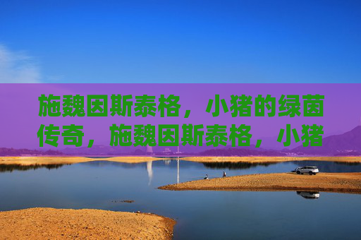 施魏因斯泰格,小猪的绿茵传奇,施魏因斯泰格,小猪的绿茵传奇