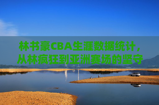 林书豪CBA生涯数据统计，从林疯狂到亚洲赛场的坚守与蜕变，林书豪CBA数据，从林疯狂到亚洲赛场的坚守与蜕变