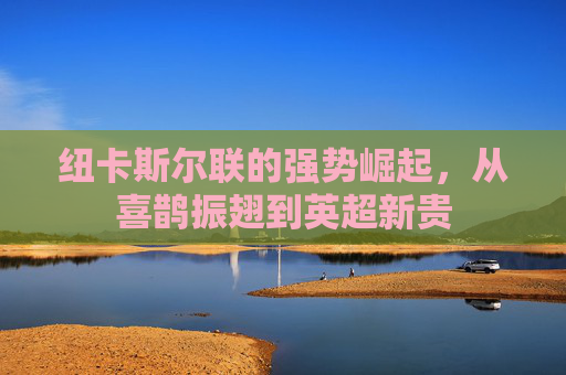 纽卡斯尔联的强势崛起,从喜鹊振翅到英超新贵