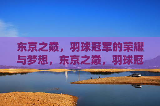 东京之巅,羽球冠军的荣耀与梦想,东京之巅,羽球冠军的荣耀与梦想