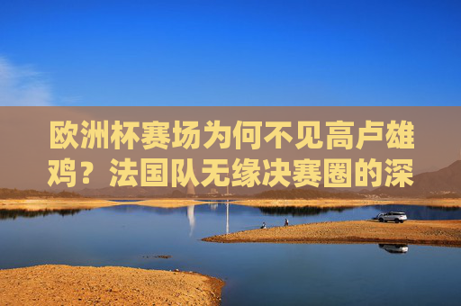 欧洲杯赛场为何不见高卢雄鸡？法国队无缘决赛圈的深层解析，高卢雄鸡缺席欧洲杯，法国队无缘决赛圈深层解析