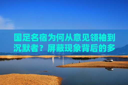 国足名宿为何从意见领袖到沉默者?屏蔽现象背后的多维解读,国足名宿从意见领袖到沉默者,屏蔽现象的多维解读