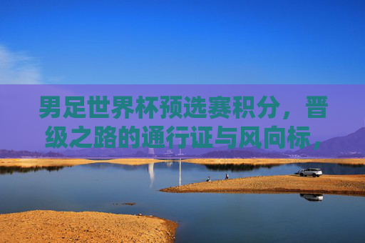 男足世界杯预选赛积分，晋级之路的通行证与风向标，男足世界杯预选赛积分，晋级之路的通行证与风向标