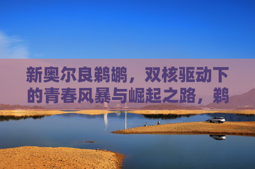 新奥尔良鹈鹕,双核驱动下的青春风暴与崛起之路,鹈鹕双核驱动,青春风暴与崛起之路