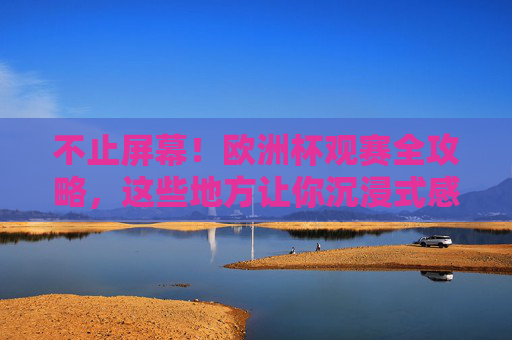 不止屏幕！欧洲杯观赛全攻略，这些地方让你沉浸式感受足球狂欢，欧洲杯观赛不止屏幕，沉浸式狂欢全攻略
