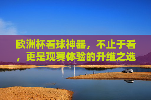 欧洲杯看球神器,不止于看,更是观赛体验的升维之选,欧洲杯观赛升维神器