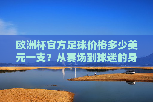 欧洲杯官方足球价格多少美元一支?从赛场到球迷的身价解析,欧洲杯官方足球价格,赛场到球迷的身价解析