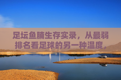 足坛鱼腩生存实录，从最弱排名看足球的另一种温度，足坛鱼腩生存录，垫底排名里的足球温度