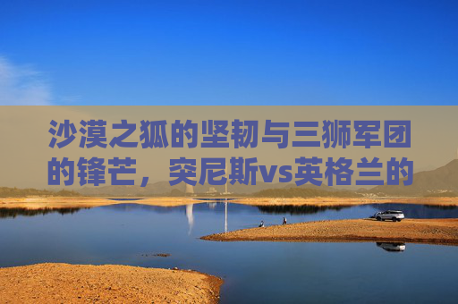 沙漠之狐的坚韧与三狮军团的锋芒,突尼斯vs英格兰的足球对话,沙漠之狐坚韧对垒三狮锋芒,突尼斯vs英格兰足球对话