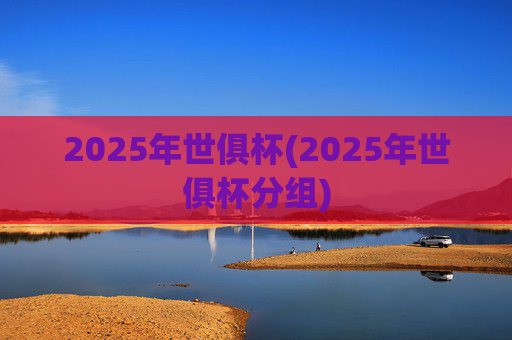 2025年世俱杯(2025年世俱杯分组)