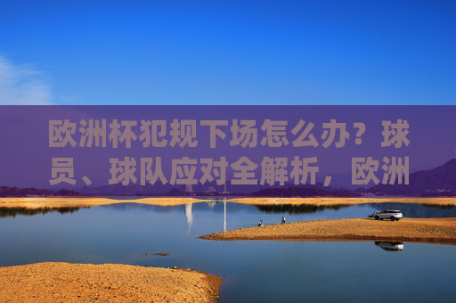 欧洲杯犯规下场怎么办?球员、球队应对全解析,欧洲杯犯规下场怎么办?球员与球队应对全解析